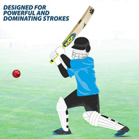 DSC Condor Flite English Willow Cricket Bat - Best Price online Prokicksports.com