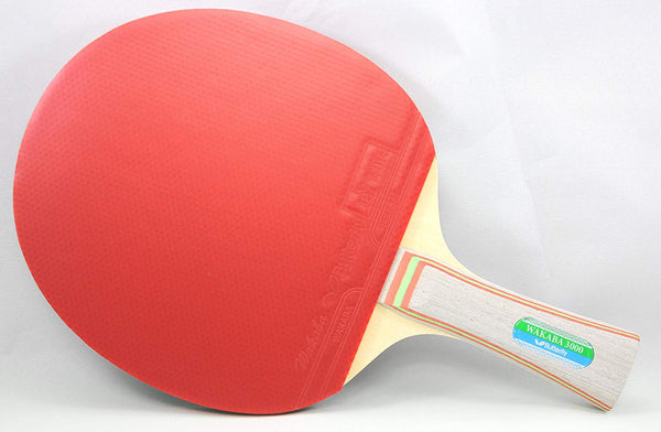 Butterfly Wakaba 3000 Table Tennis Racquet With 2 Balls