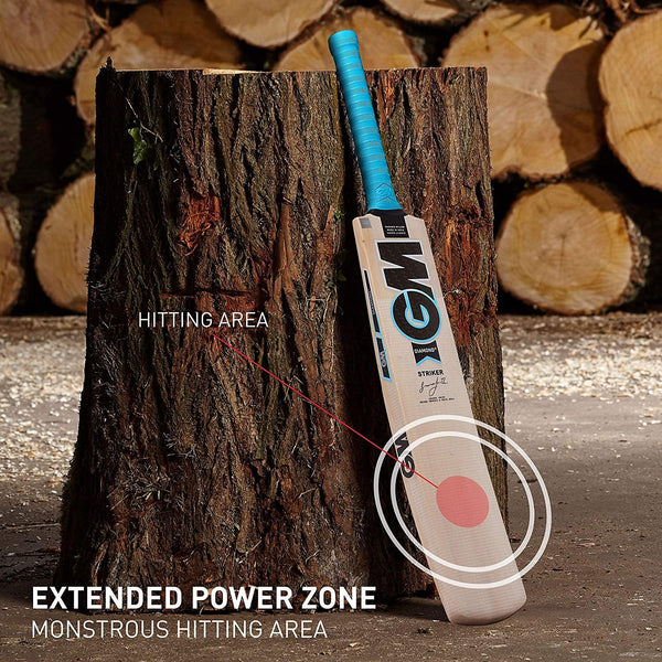 GM Diamond Striker Kashmir Willow Cricket Bat