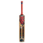 DSC Extreme Kashmir Willow Cricket Bat - Best Price online Prokicksports.com