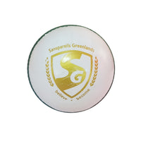 SG Shield 30 Cricket Ball for Adult, White - 1PC - Best Price online Prokicksports.com