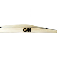 GM Icon F2 Contender Kashmir Willow Cricket Bat - Best Price online Prokicksports.com