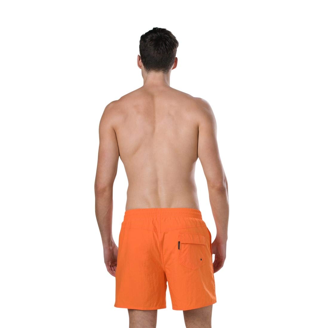 Speedo India Shorts for Men - Best Price online Prokicksports.com