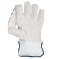 SG RSD Xtreme Wicket Keeping Gloves (Colour May Very) - Best Price online Prokicksports.com