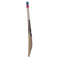 SS Slogger Kashmir Willow Cricket Bat - Best Price online Prokicksports.com