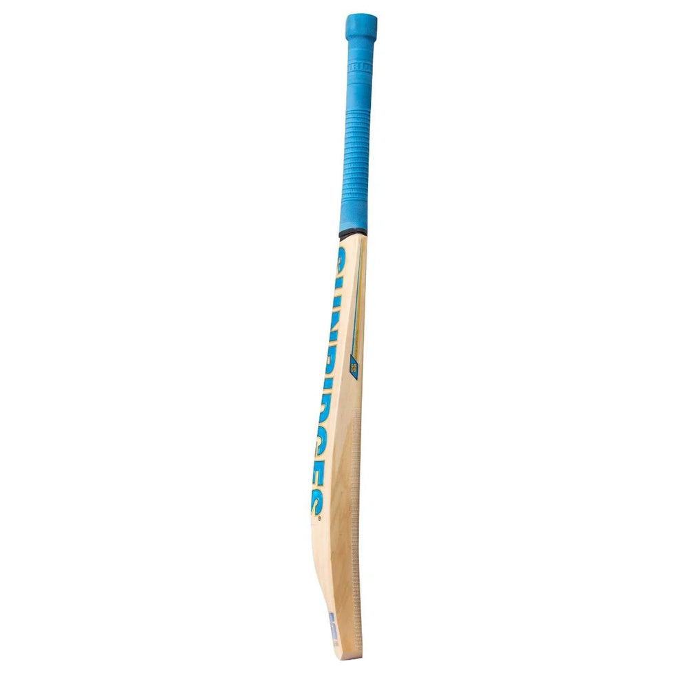 SS Vintage Bolt Kashmir willow Cricket Bat - Best Price online Prokicksports.com