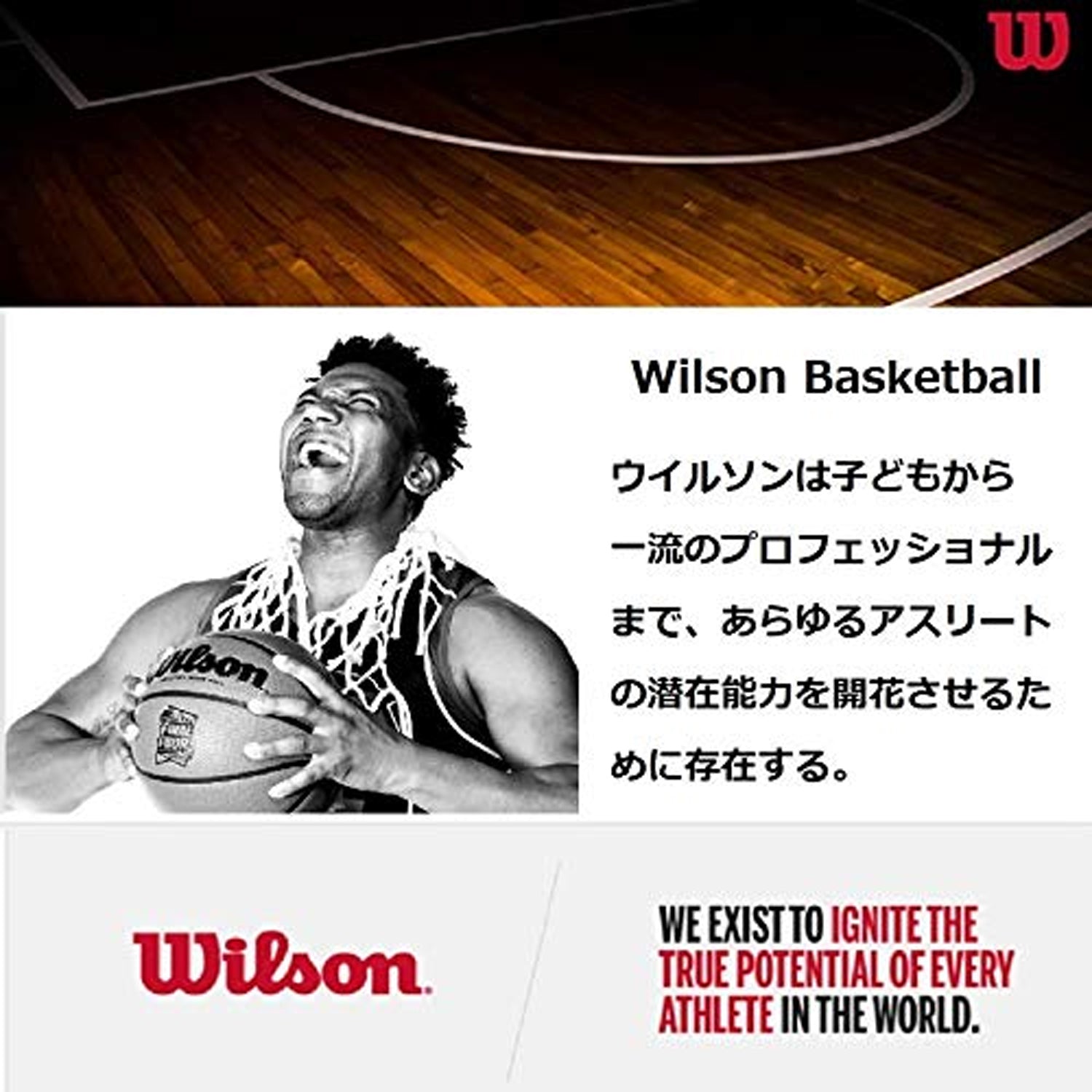 Ballon de basketball NBA taille 7 - Wilson Team Tribute Lakers violet