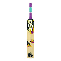DSC Wildfire Ignite Cricket Bat - Best Price online Prokicksports.com