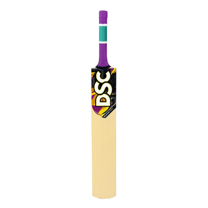 DSC Wildfire Ignite Cricket Bat - Best Price online Prokicksports.com