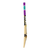 DSC Wildfire Ignite Cricket Bat - Best Price online Prokicksports.com