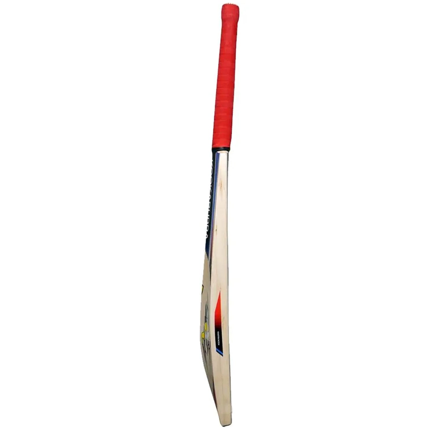 Kookaburra Beast 4.0 English Willow Cricket Bat - Best Price online Prokicksports.com