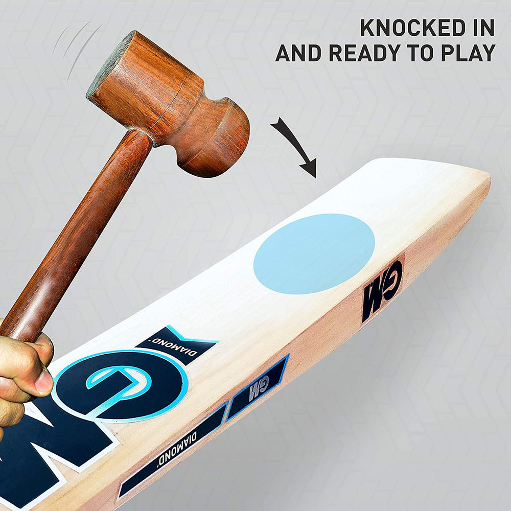 GM Diamond 505 English Willow Cricket Bat - Best Price online Prokicksports.com