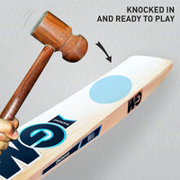 GM Diamond 505 English Willow Cricket Bat - Best Price online Prokicksports.com