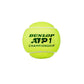 Dunlop ATP Championship Tennis Balls Can (1 Can) - Best Price online Prokicksports.com