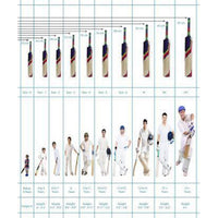 SS Ton Gutsy English Willow Cricket Bat - Best Price online Prokicksports.com